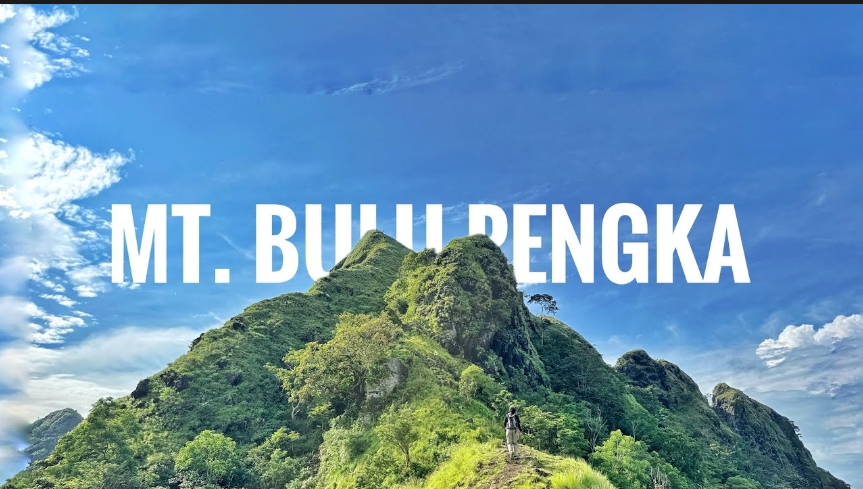 Bulu Pengka